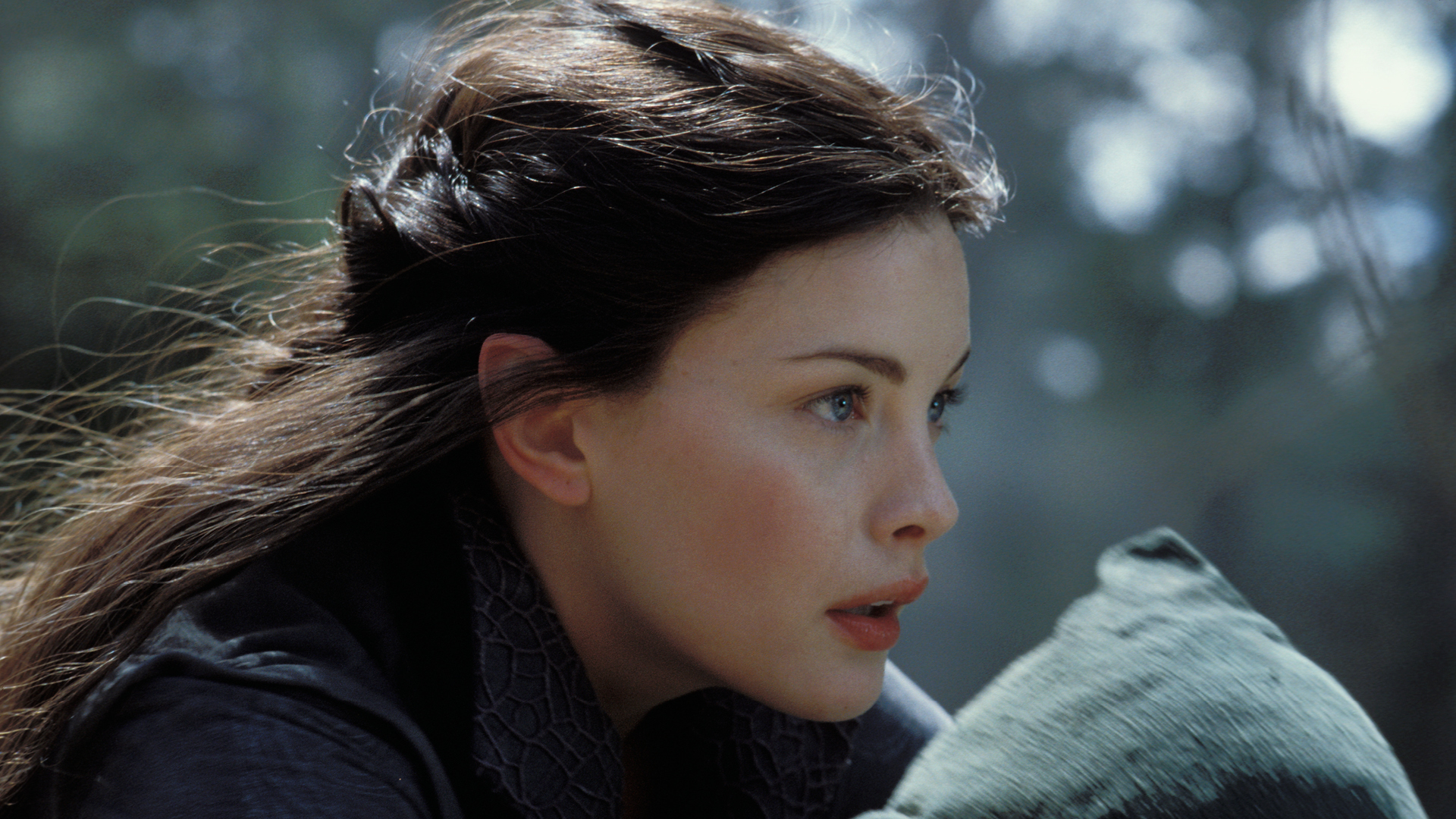 LotR 1 - Arwen