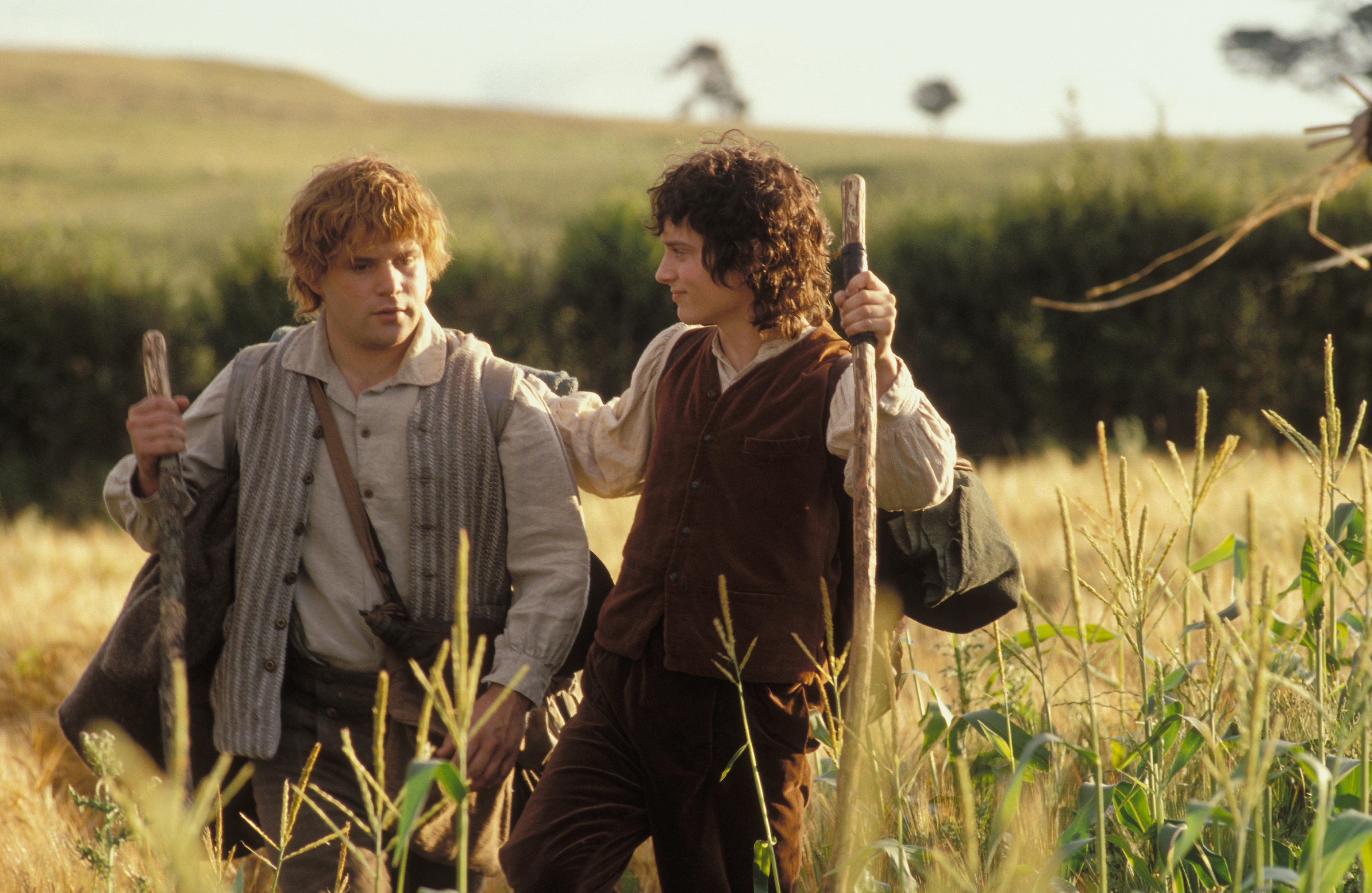 LotR 1 - Frodo & Sam