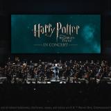 Harry Potter und der Halbblutprinz_Pressefoto © CineConcerts - Alegria Konzert
